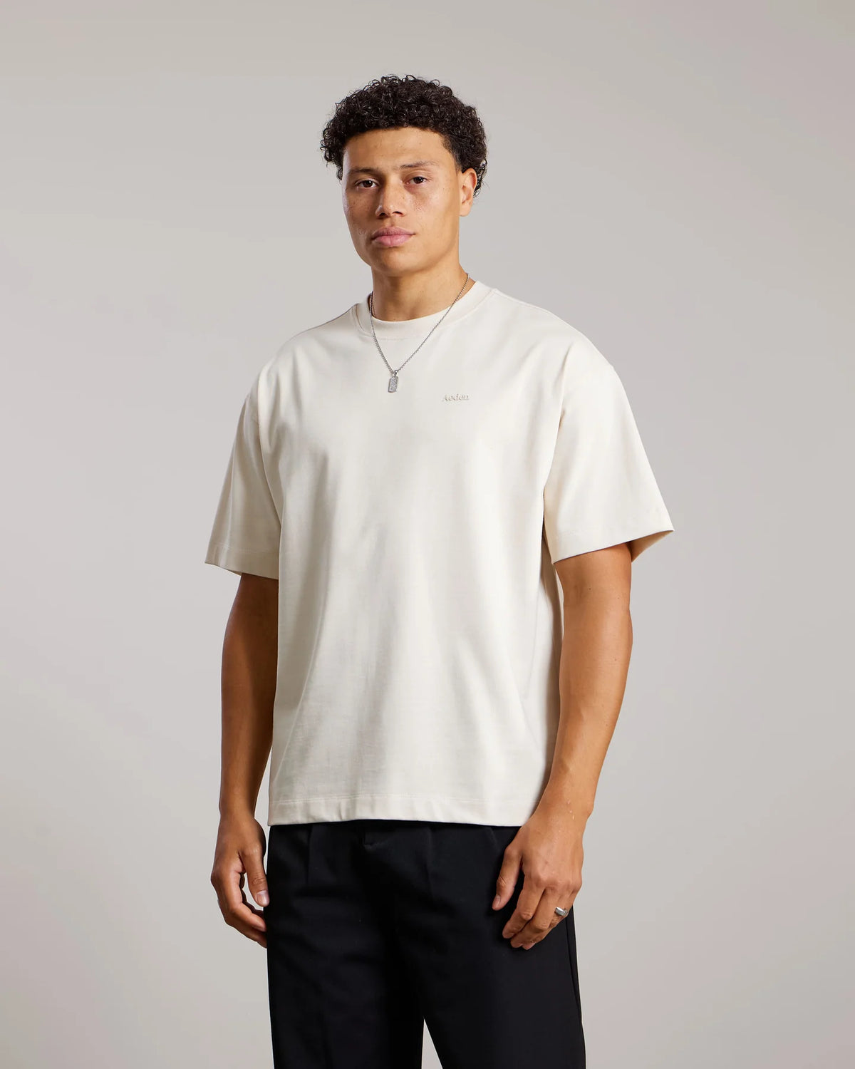 AEDEN DAX TEE | WHITE CAP GREY