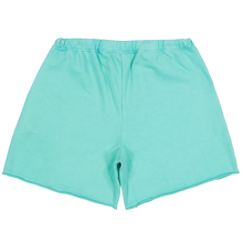 Afbeelding in Gallery-weergave laden, FEARLESS BLOOD LEADER CLUB SHORT WASHED Fearless Turquoise
