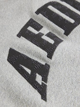 Afbeelding in Gallery-weergave laden, AEDEN SAM SWEATER | GREY MEL