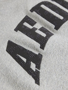AEDEN SAM SWEATER | GREY MEL