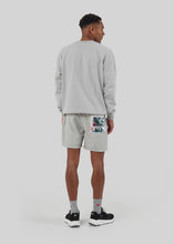 Afbeelding in Gallery-weergave laden, HTS74 ARS CREWNECK  Gray