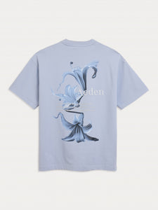 AEDEN EZIO | CORN BLUE