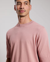 Afbeelding in Gallery-weergave laden, AEDEN NATHANOS Ash Rose