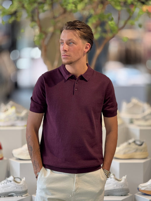 SAINT STEVE CHRIS Plum Melange
