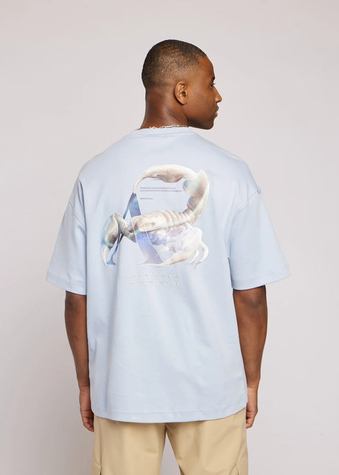 AEDEN NEO | CORN BLUE