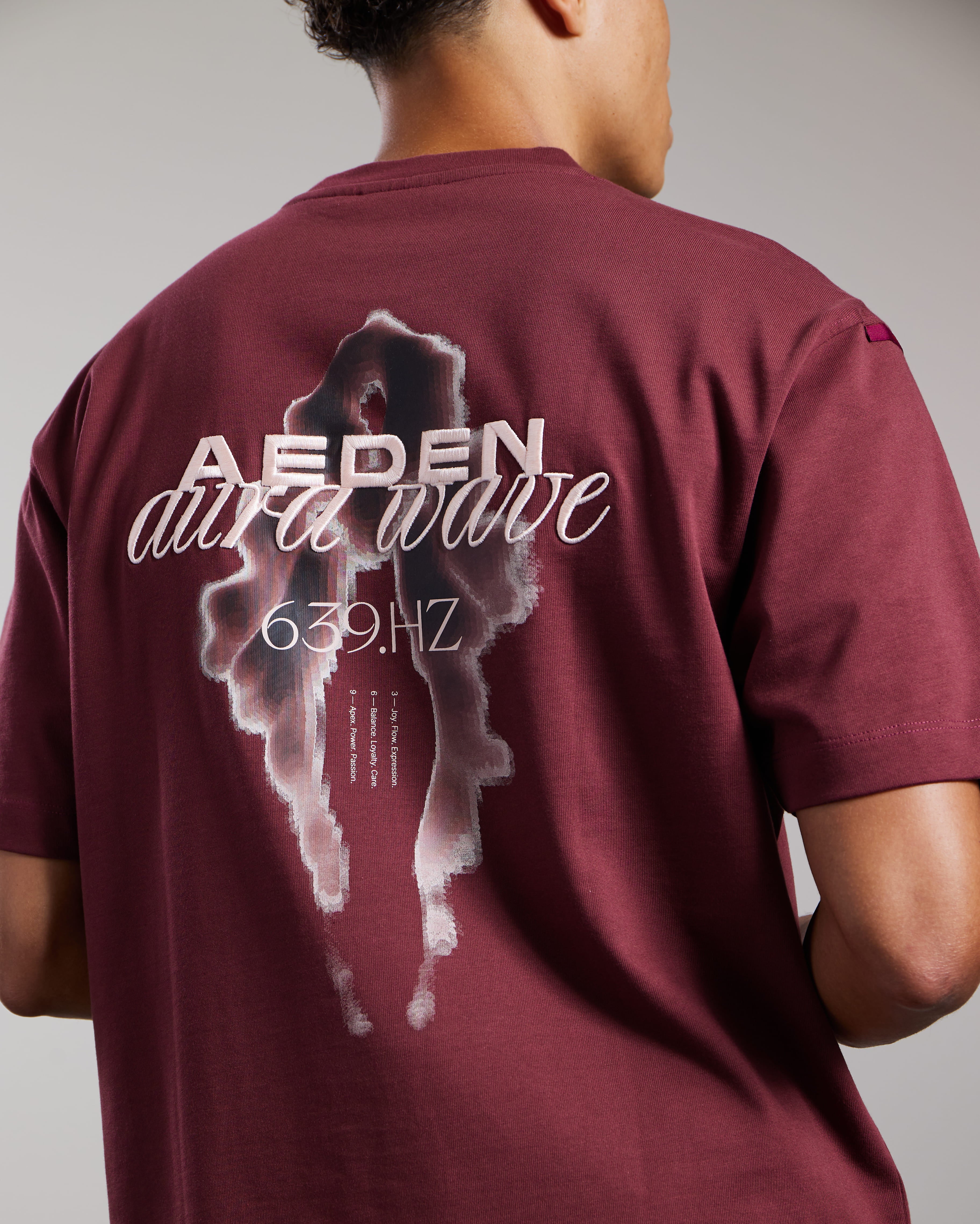 AEDEN LUCIUS TEE BORDEAUX