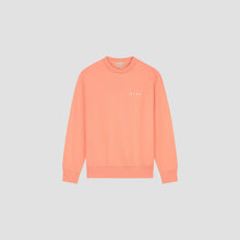 Afbeelding in Gallery-weergave laden, OLAF BRUSHSTROKE FACE CREWNECK Burnt Coral