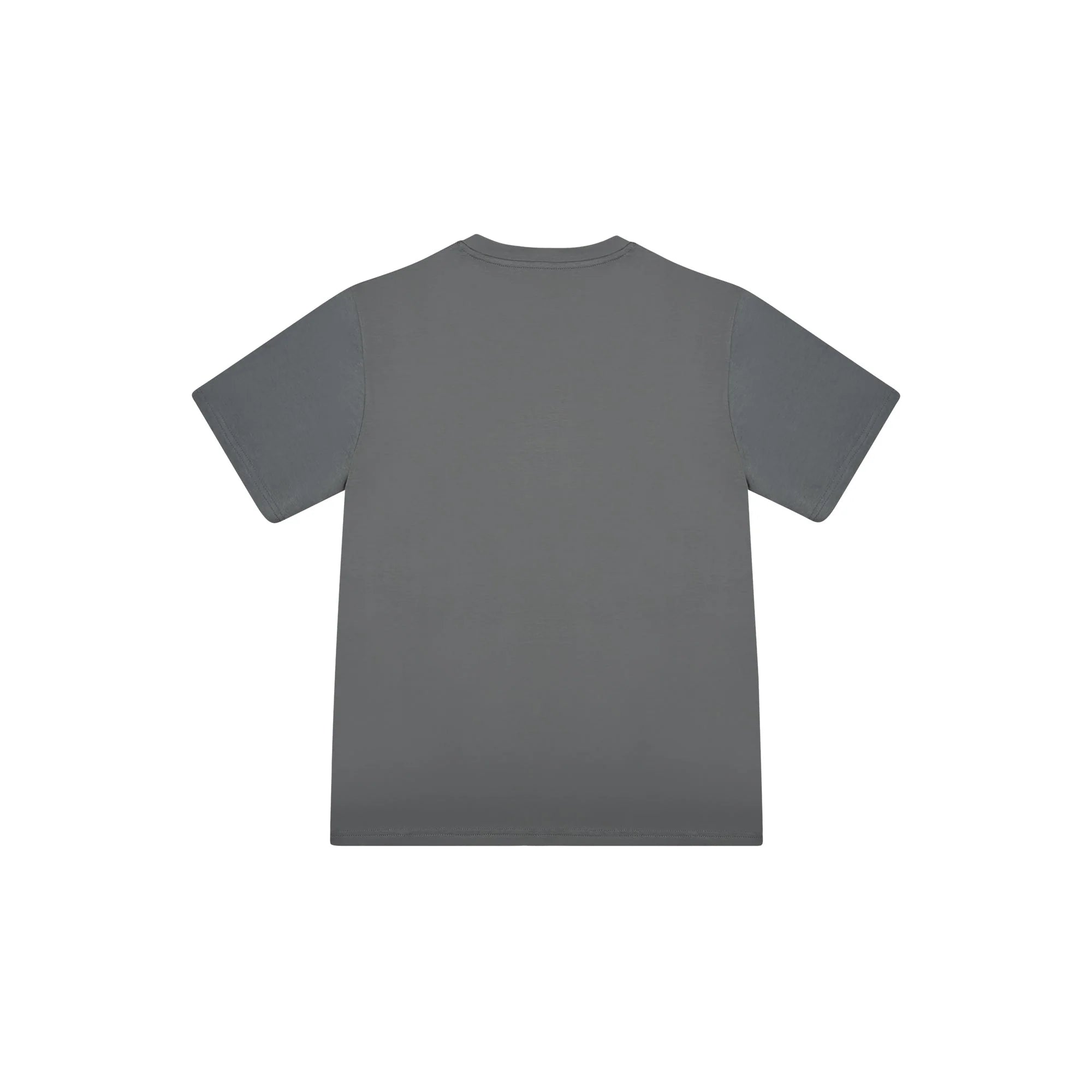 ONE REGULAR TEE Grey